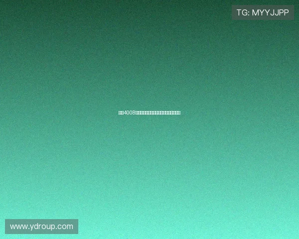 云顶4008集团的财务管理体系与风险控制机制分析